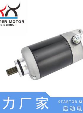 21163-1100, 21163-1136起动电机启动马达适用于川崎EX250F Ninja