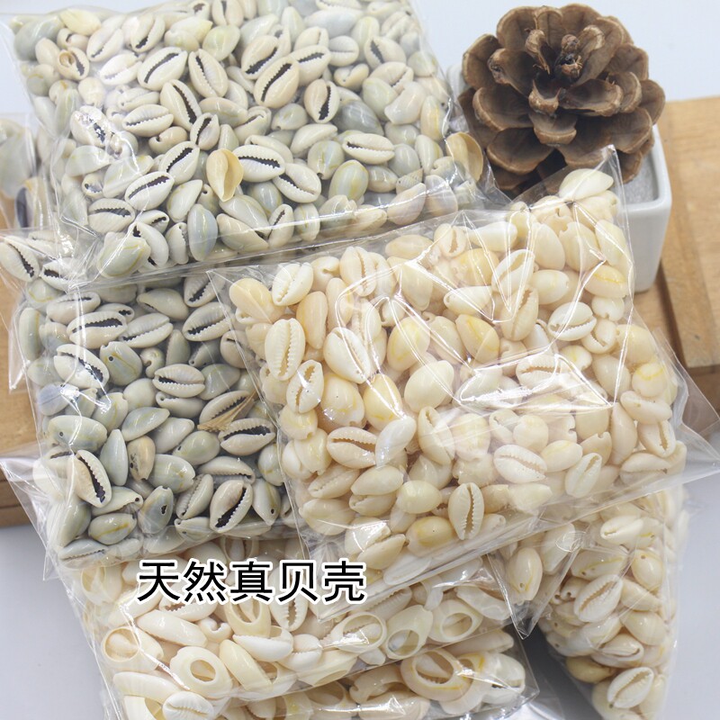 包邮天然真贝壳切片金边螺打孔DIY手工项链头饰编织串珠装饰配件