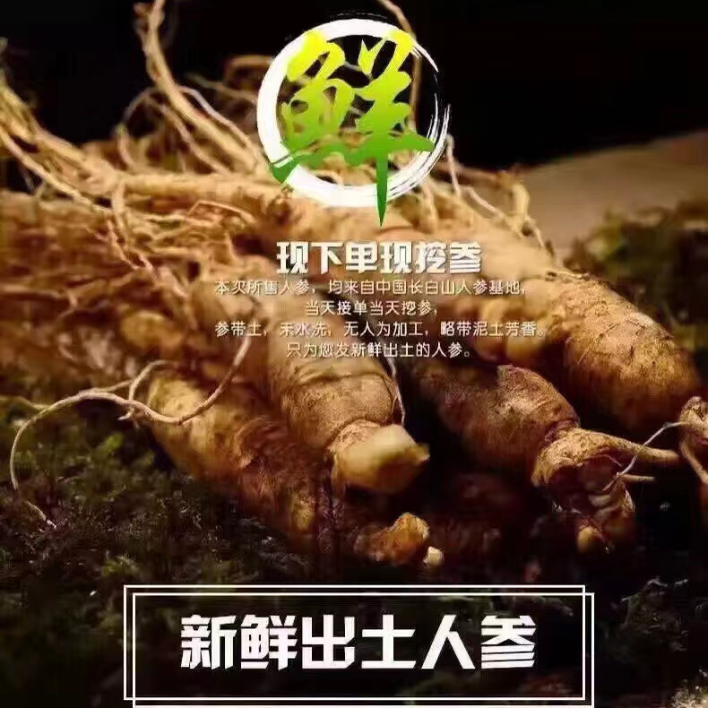 长白山精品鲜人参10支一斤可煲汤泡酒（下单就送枸杞半斤）