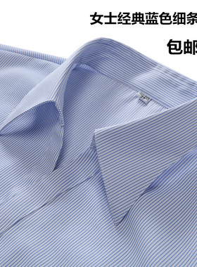 女士短袖白底蓝色细条纹工装衬衫银行职员V领条纹衬衣大码工作服