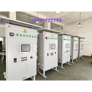 防爆配电箱控制柜接线箱照明动力箱碳钢变频柜非标定制Plc控制柜