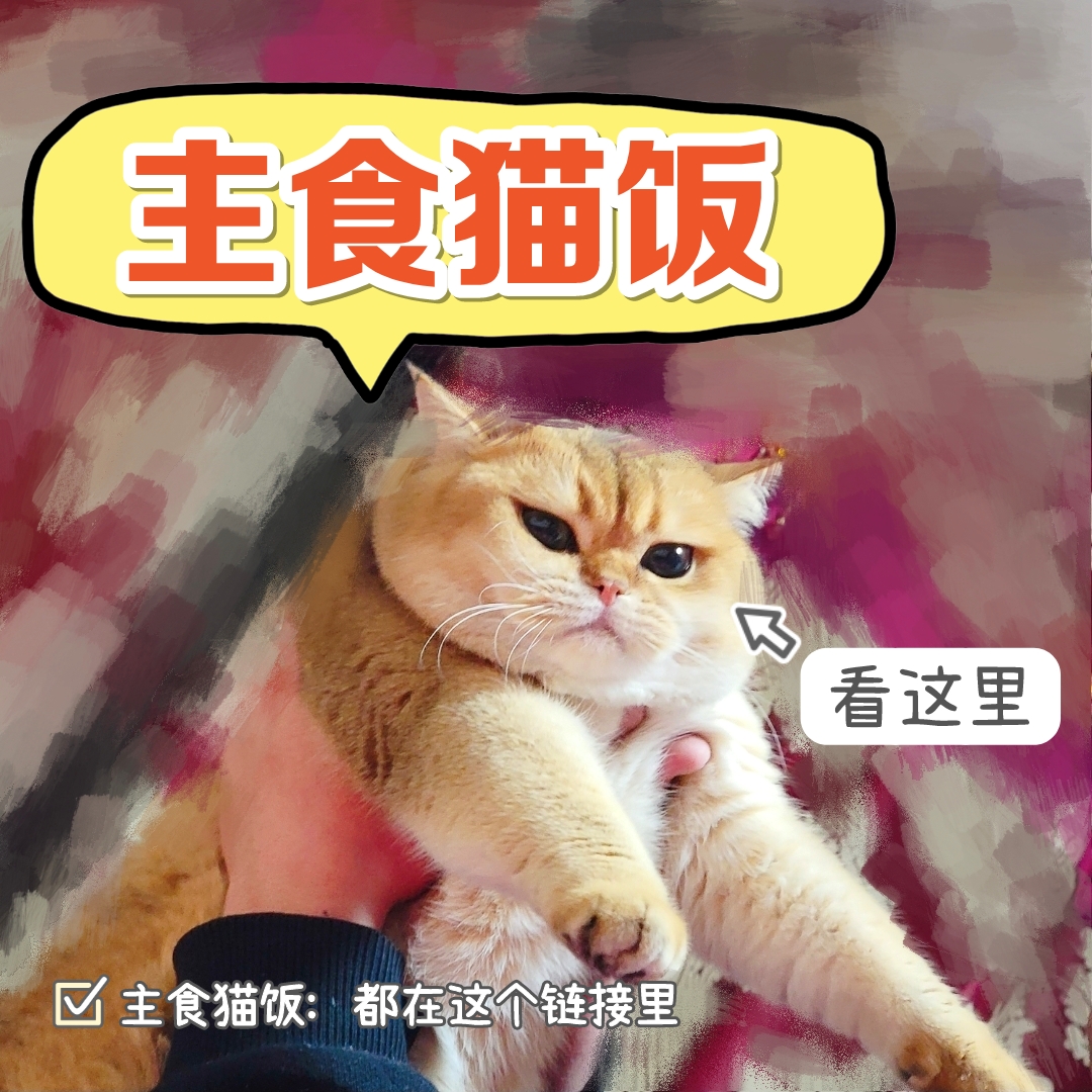 自制猫饭鲜肉大肉块熟猫饭