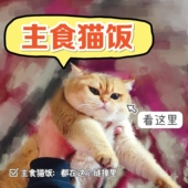 炖炖麻麻 鸡鸭牛兔鱼肉自制营养主食湿粮成幼猫全阶段 鲜肉熟猫饭