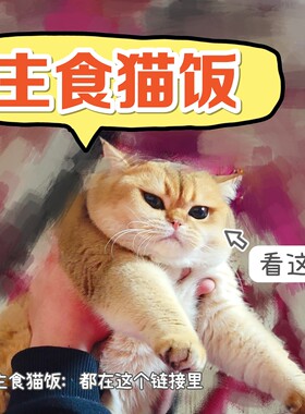 自制猫饭鲜肉大肉块熟猫饭