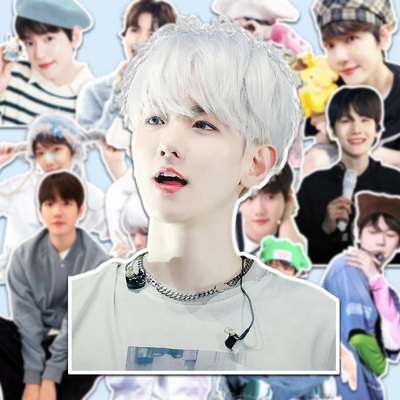 EXO边伯贤爆款周边防水高清贴纸爱丽应援装饰手机壳桌面冰箱贴diy