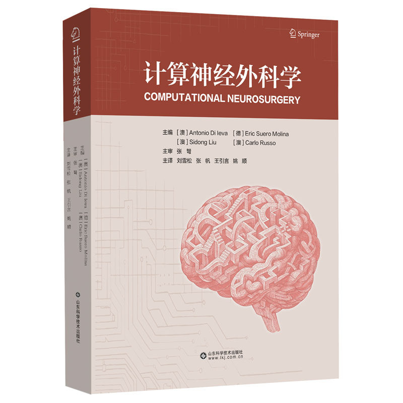 计算神经外科学