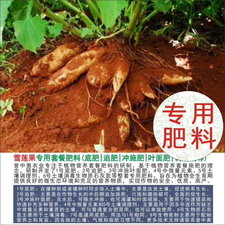1斤雪莲果专用肥料有机肥复合肥叶面肥科研试验用肥阳台种植用肥,农用物资,有机肥,淘宝优惠券,粉丝福利购,淘宝优惠卷