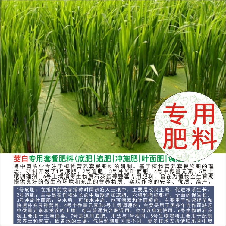 1-50斤茭白水笋专用肥料完整全套肥料家用通用农用有机复合肥颗粒
