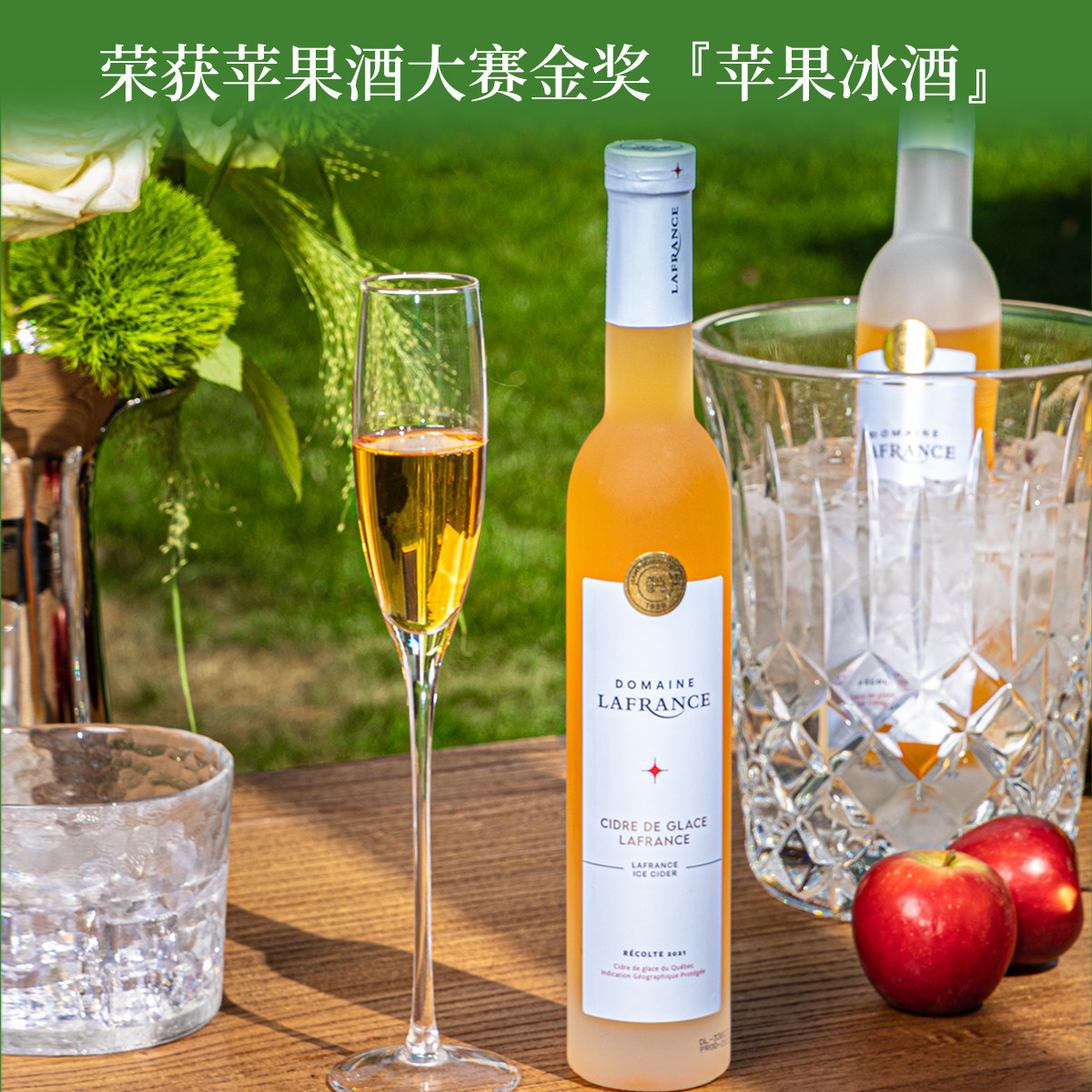 加拿大苹果冰酒原装原瓶进口冰酒订婚果酒微醺女士低度甜酒礼盒装