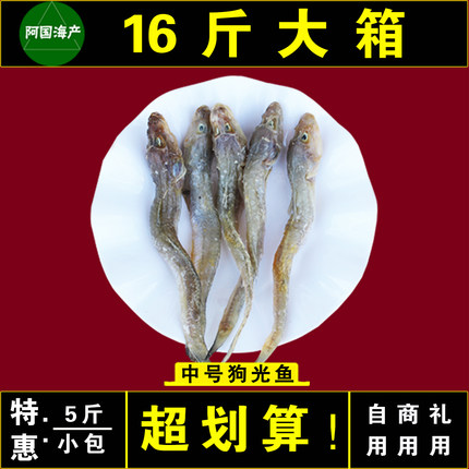 渤海特产中号狗光鱼5斤咸油光鱼狗杠鱼胖头鱼沙逛鱼大头鱼礼盒