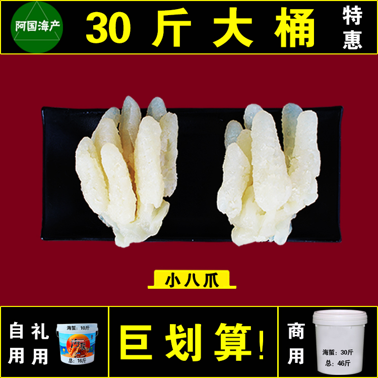 鸡爪海蛰头八爪头手指蛰八角海蜇