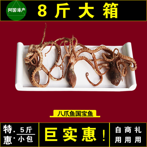 八爪鱼八代鱼熟鱼章鱼咸鱼乌贼