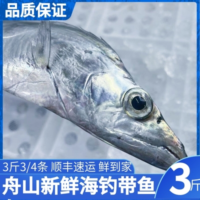 带鱼小眼钓带舟山海鲜