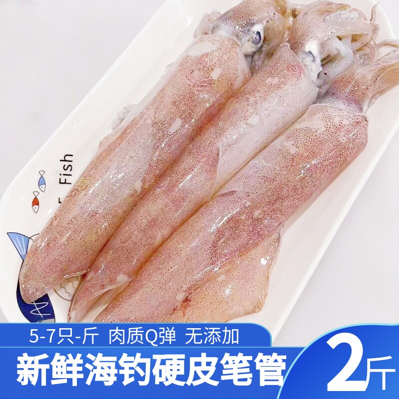 舟山笔管海钓新鲜魷鱼