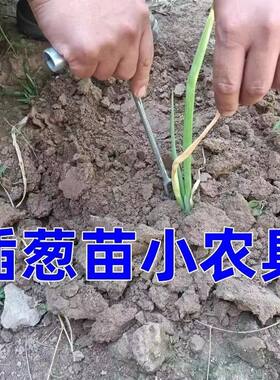 栽葱神器栽葱专用农具大葱插苗器插葱苗神器葱叉子