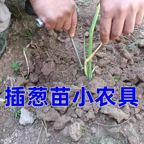 栽葱神器栽葱专用农具大葱插苗器插葱苗神器葱叉子