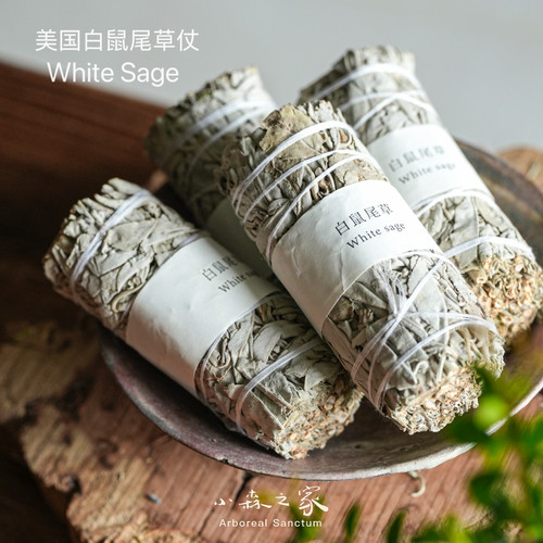 美国加州白鼠尾草WhiteSage