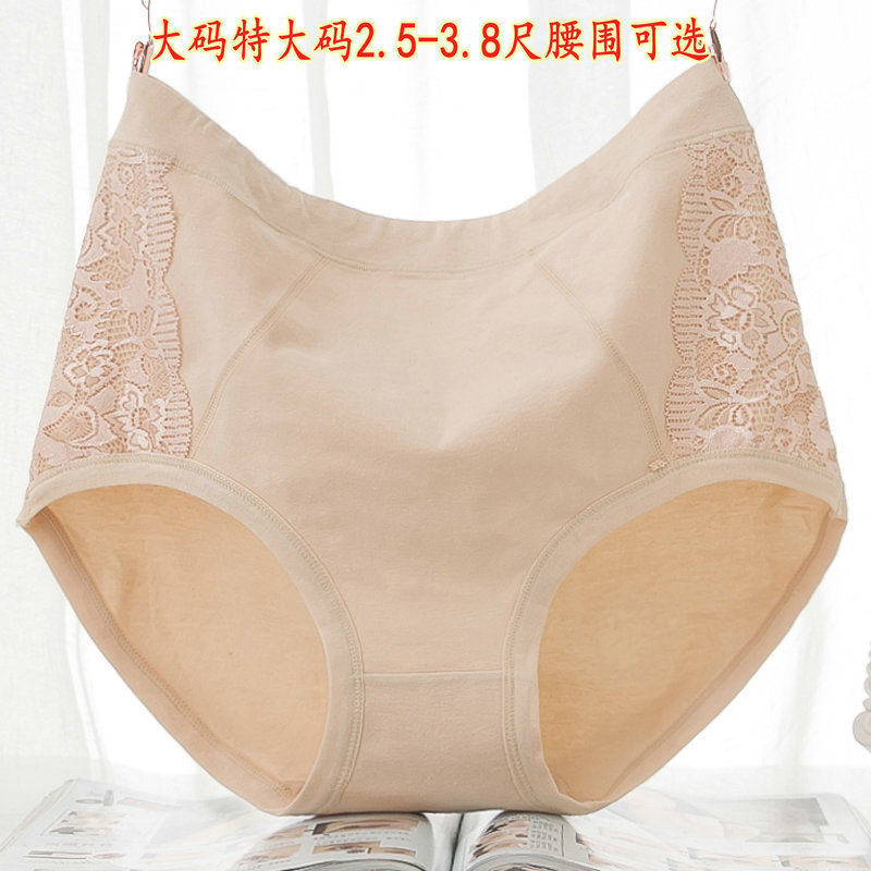 女士加肥加大码特大码纯棉三角内裤批发蕾丝边胖mm