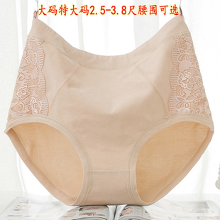 女士加肥加大码特大码纯棉三角内裤批发蕾丝边胖mm
