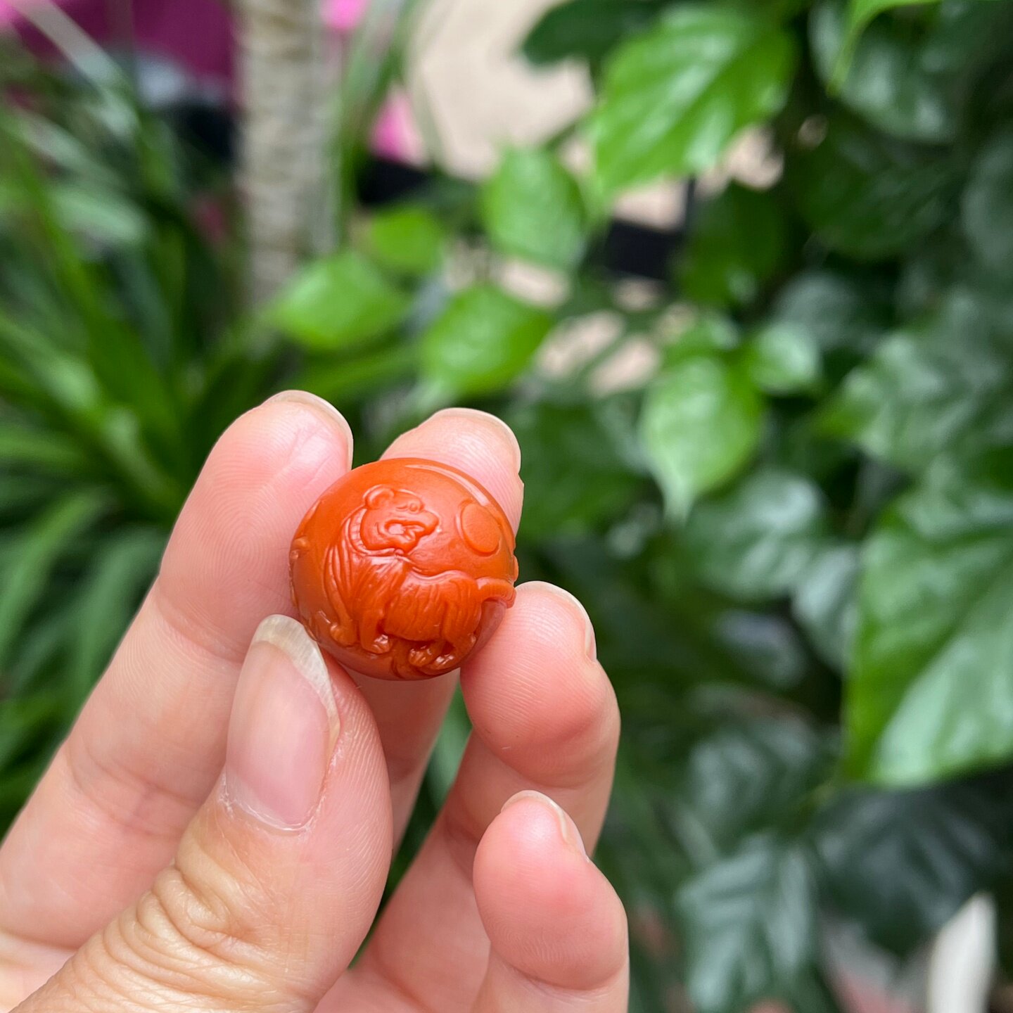 天然四川南红玛瑙手串生肖兔虎