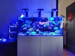 金典系列海水鱼缸珊瑚缸水族箱海缸简约金典套缸 LANDEN蓝甸