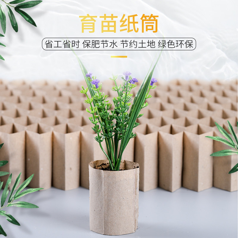 蜂窝育苗纸杯 蜂窝状育苗纸筒纸盘纸钵 甜菜育苗纸筒 纸筒育苗