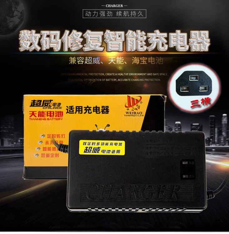 适用于小鸟电动车电瓶充电器三横插头48V60V64V12ah20AH