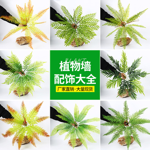 仿真蕨类造景植物高肾蕨蕨草手感软胶空间装 饰植物墙拍摄道具配草