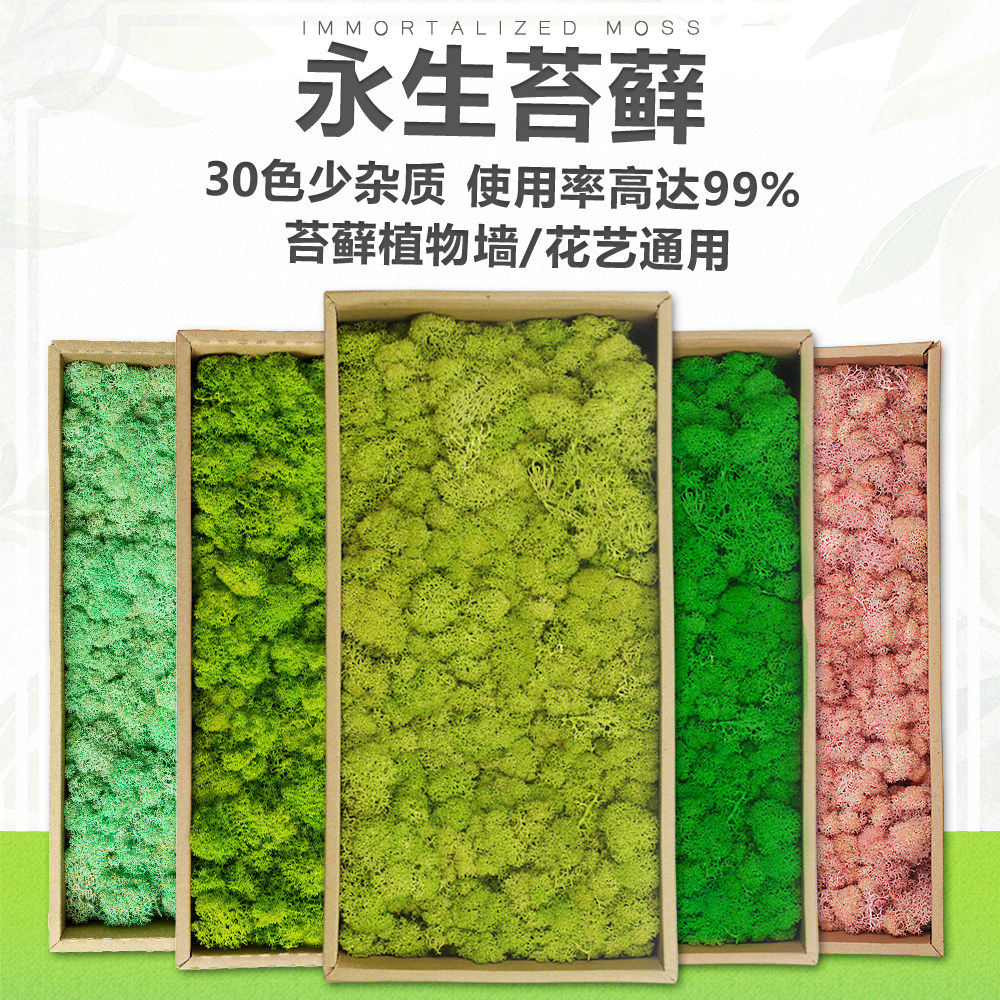 永生苔藓植物墙造景青苔真苔藓花艺DIY材料仿真苔藓景观干花装饰
