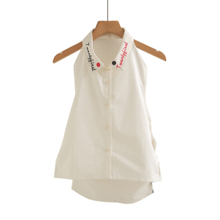 韩版秋冬款刺绣衣领百搭假领衬衫假领子装饰假衣领子女士假领漏背