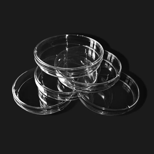 10pcs/pack Lab Culture Dish Disposable Plastic Petri Dish L