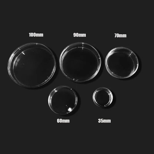 10pcs 60mm Plastic Sterile Petri Dishes Bacteria Culture Di