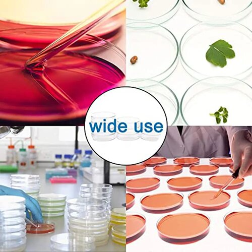 10Pcs Plastic Sterile Petri Dishes Bacteria Culture Dish wi