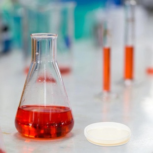 10 Pcs Nutrient Agar Plate Petri Dishes With Laboratory Sup