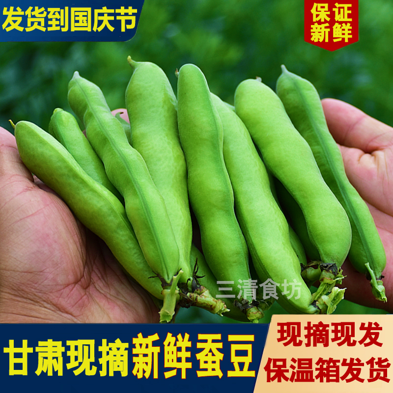 甘肃应季新鲜带壳蚕豆现摘现发