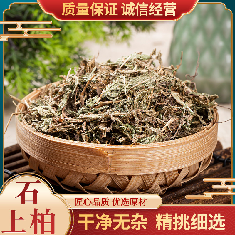 新货石上柏500克中药材地侧柏 梭罗草 地梭罗金龙草深绿卷柏