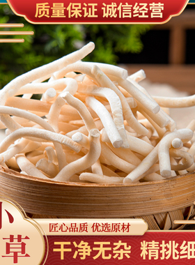 小通草100g包邮中草药通草中药材另王不留行哺乳期追奶野生通草片