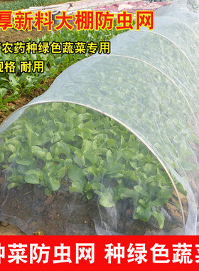 防虫网种菜专用80目阳台