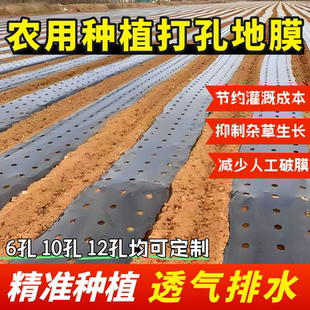 打孔地膜农用种植种菜专用塑料薄膜防草银黑辣椒大蒜药材红薯