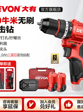 大有12V无刷冲击钻5209锂电钻50牛大扭力手电钻充电钻电动螺丝刀