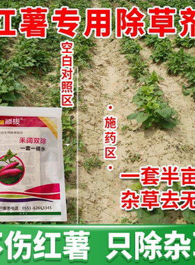 锄匠红薯田专用除草剂地瓜甘薯番薯山芋苗后除草禾本阔叶杂草农药