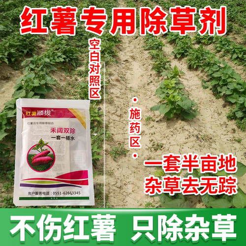 锄匠红薯田专用除草剂地瓜甘薯番薯山芋苗后除草禾本阔叶杂草农药