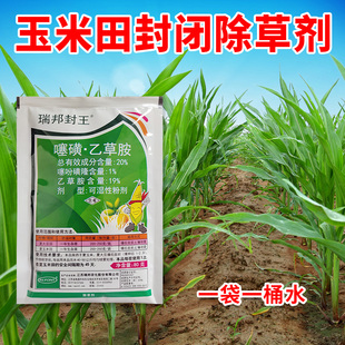 瑞邦封王噻吩磺隆乙草胺玉米田封闭除草剂禾阔双除杂草粉剂农药