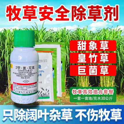 皇竹草甜象草黑麦草高丹草巨菌草墨西哥玉米草牧草田地专用除草剂