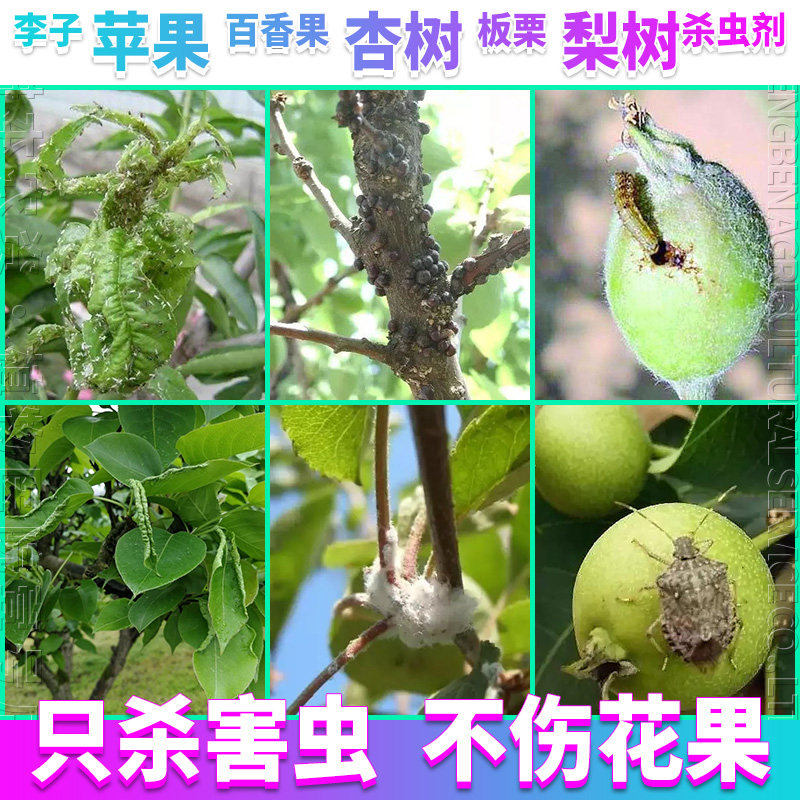 苹果树杏树梨树李子树百香果猕猴桃树莓板栗打灭除杀虫剂打杀虫药