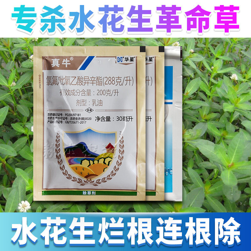 专杀水花生烂根连根除革命草空心喜旱莲子草专用克星除草剂配方药