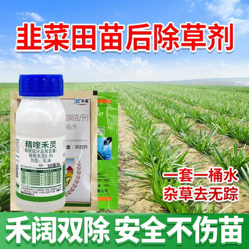 韭菜田苗后除草剂除一年生