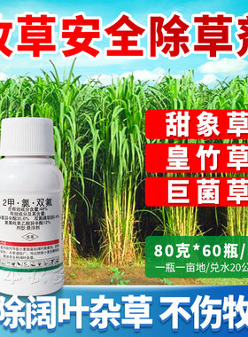 甜象草皇竹草黑麦草巨菌草墨西哥玉米草牧草玉米田专用除草剂小麦