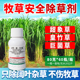 甜象草皇竹草黑麦草巨菌草墨西哥玉米草牧草玉米田专用除草剂小麦