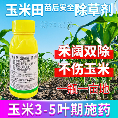硝磺草烟嘧隆特丁津玉米除草